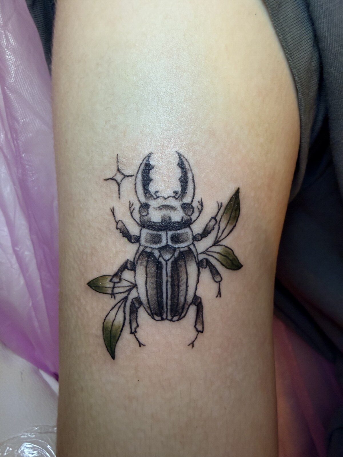 Stag Beetle with shading and light colouring