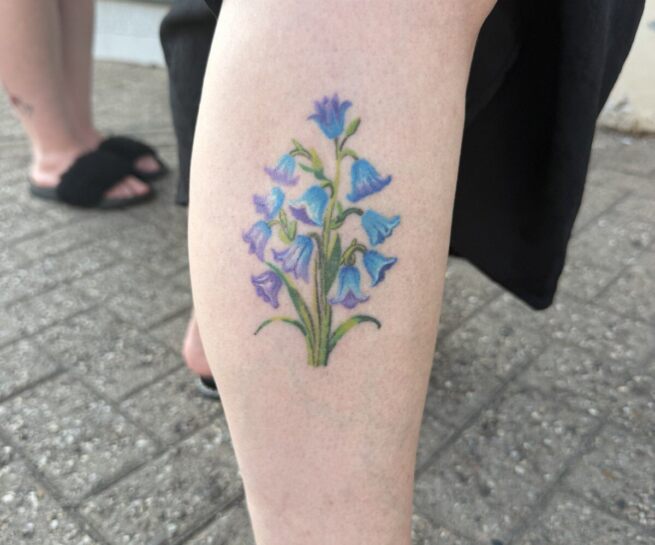 Bluebells in Colour
