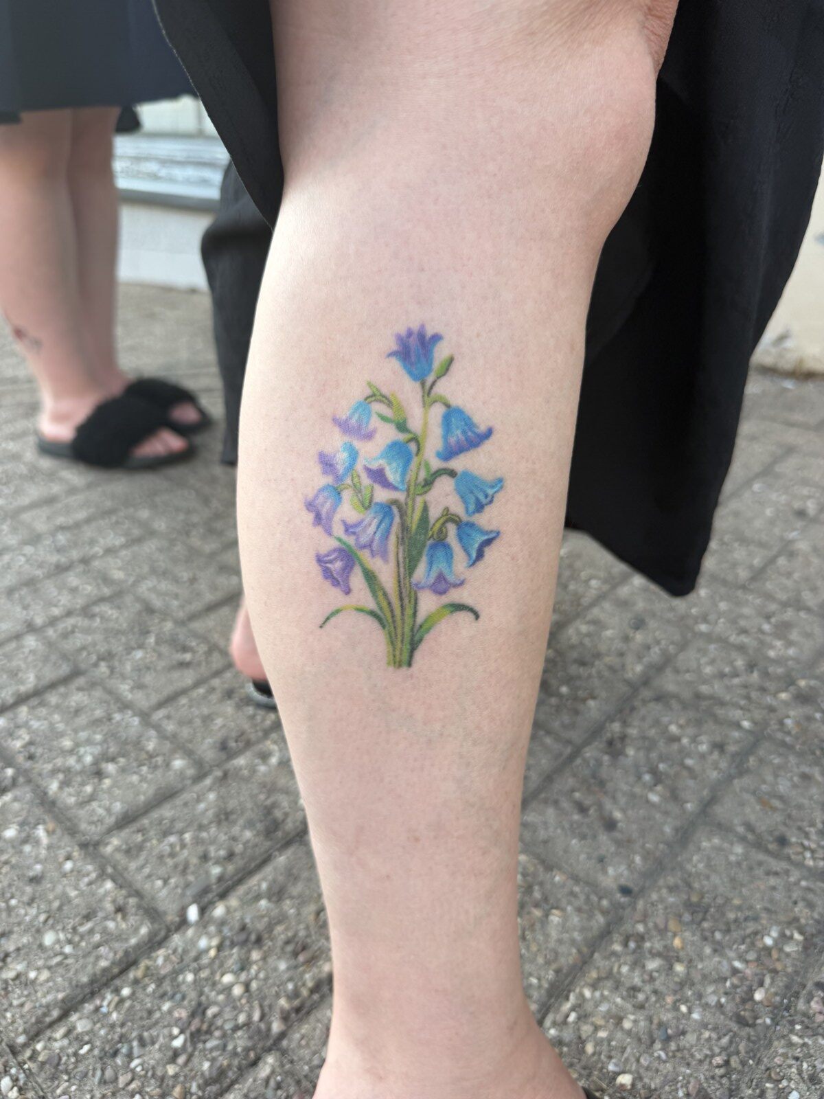 Bluebells in Colour