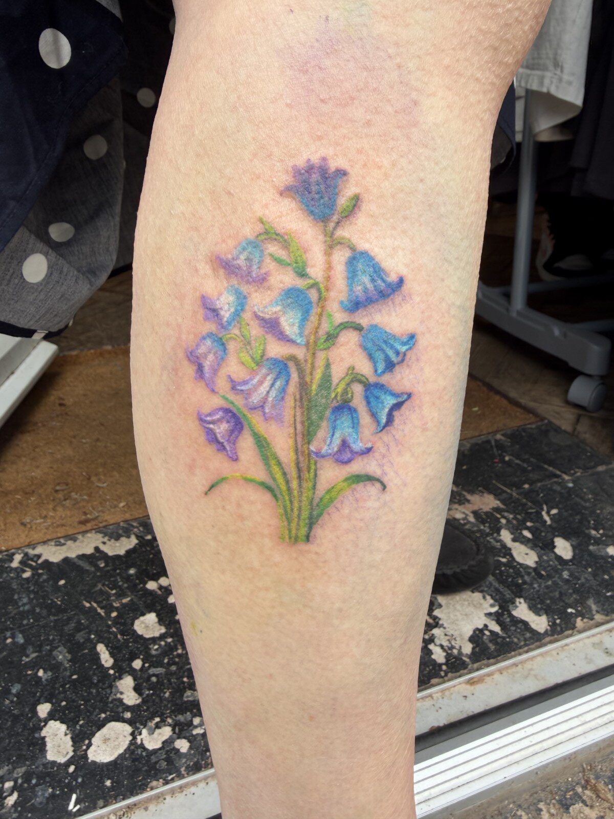 Bluebells in Colour
