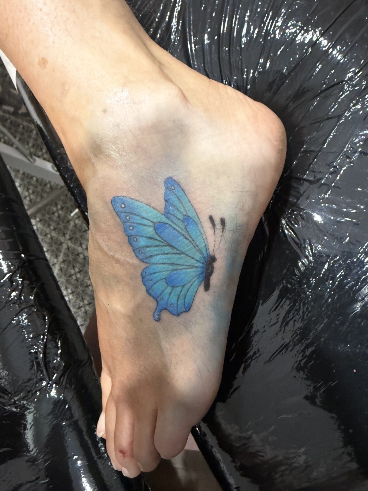 Blue butterfly
