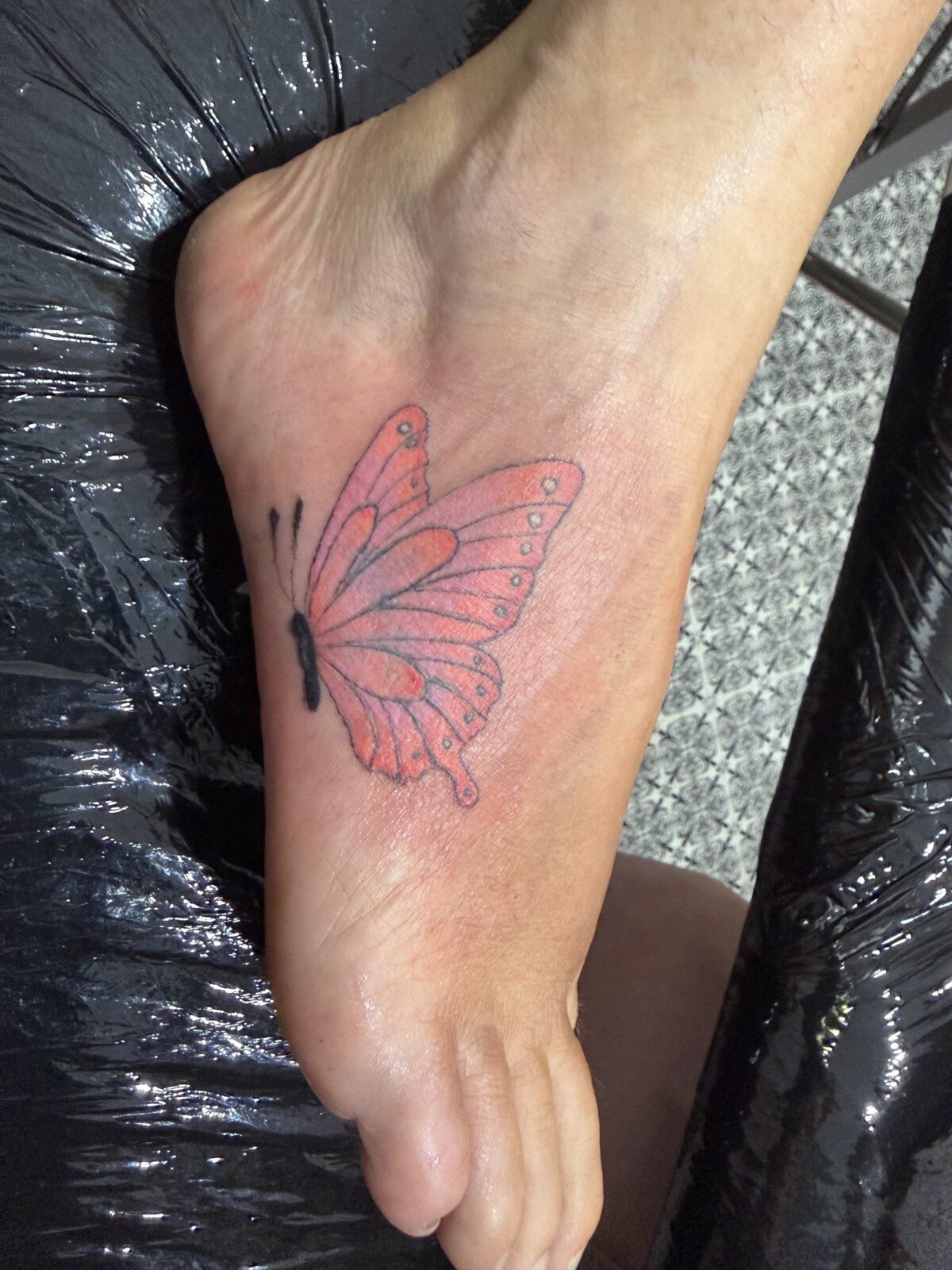 Pink Butterfly