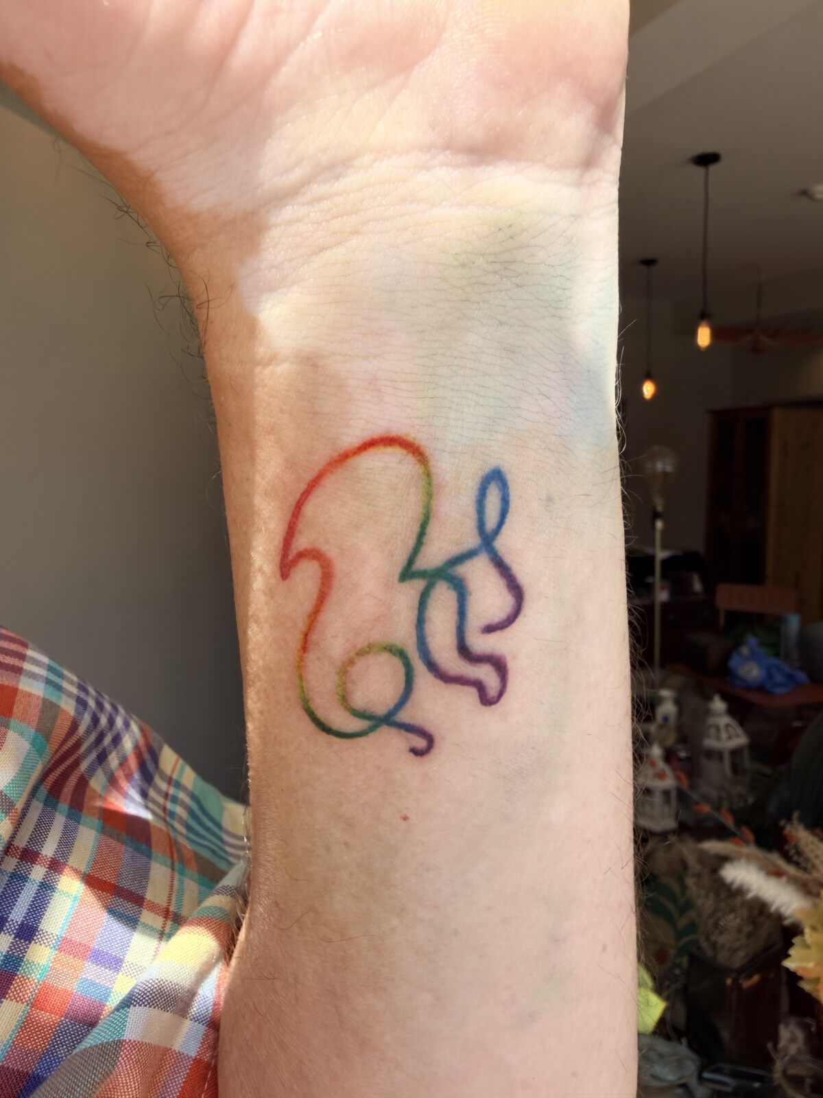 Rainbow Squirrel